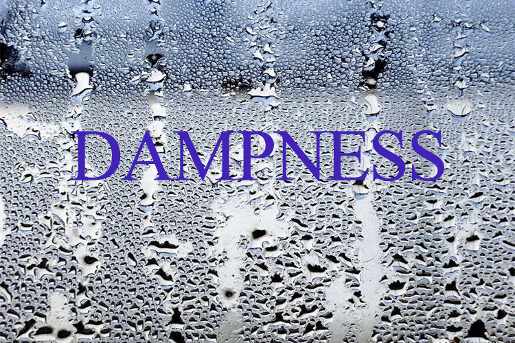 Can the body warmer remove dampness in the body?